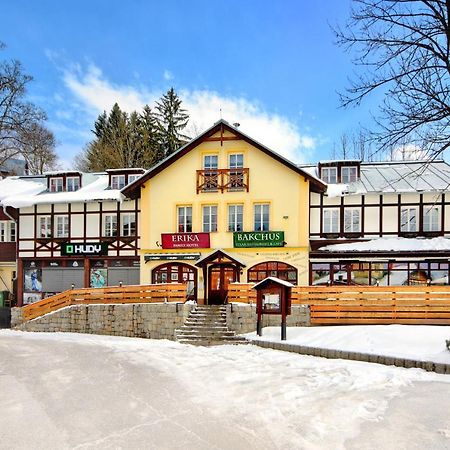 Hotel Erika Шпиндлерув-Млин Экстерьер фото